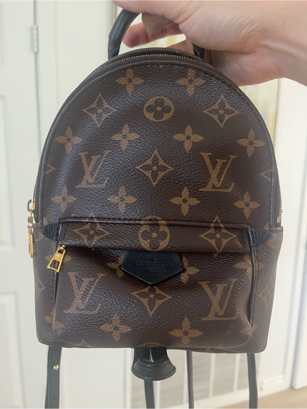 Louis Vuitton Monogram Mini Backpack - Brown & Gold